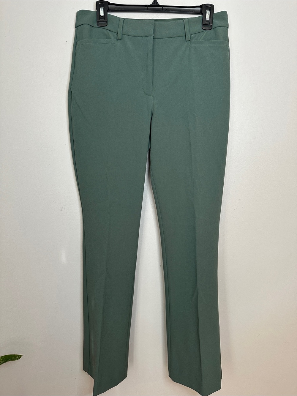 Express Women's Tailored Straight-Leg Pants - Green size 10R